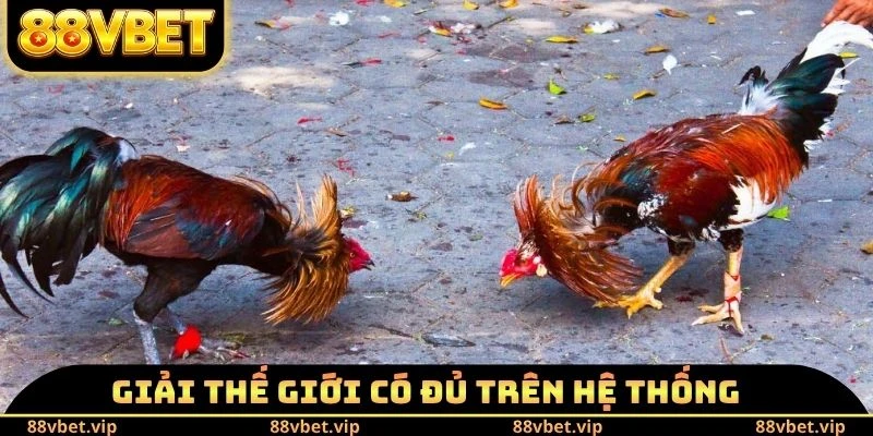 Giải danh tiếng thế giới có đủ trên hệ thống