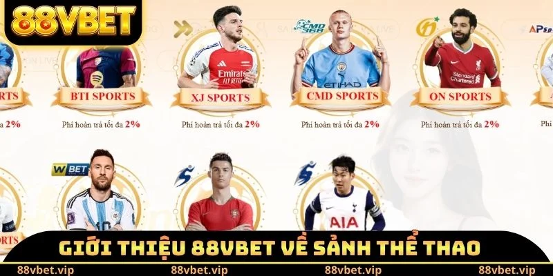 Giới Thiệu 88vbet 4 Giới thiệu 88vbet về sảnh thể thao
