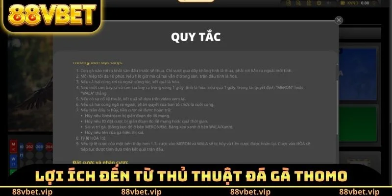 Thủ Thuật Đá Gà Thomo 88vbet - Cách Để Giành Lấy Chiến Thắng 3 Lợi ích đến từ thủ thuật đá gà Thomo
