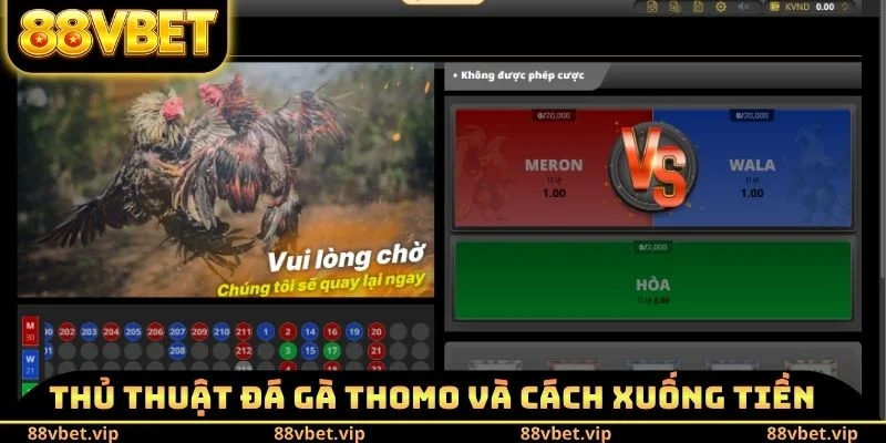 Thủ Thuật Đá Gà Thomo 88vbet - Cách Để Giành Lấy Chiến Thắng 2 Thủ thuật đá gà Thomo và cách xuống tiền