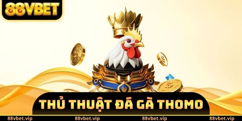 Thủ Thuật Đá Gà Thomo 88vbet - Cách Để Giành Lấy Chiến Thắng 10 thủ thuật đá gà Thomo