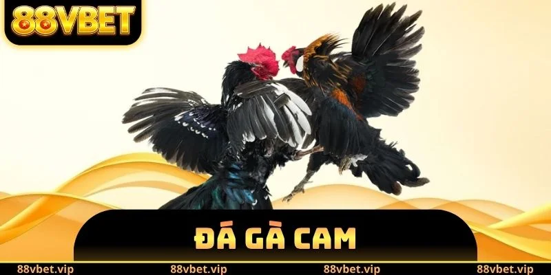 Đá Gà Cam