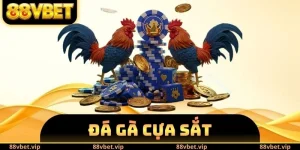 Đá Gà Cựa Sắt