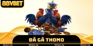 Đá Gà Thomo