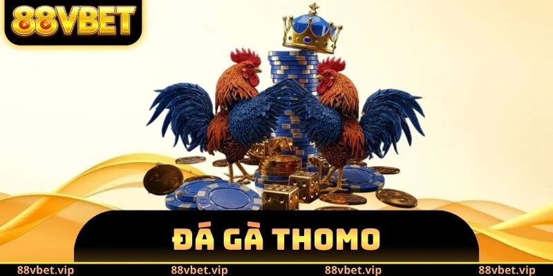 Đá Gà Thomo